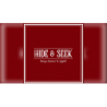 Hide and Seek Wallet (Brown) - Surya Kumar and Gopal wwww.magiedirecte.com