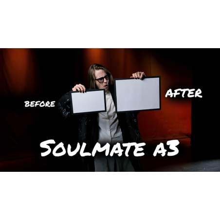 Soulmate (Large A3 size) by Hide & Sergey Koller wwww.magiedirecte.com