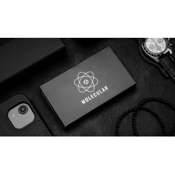 T-1000 Plus - Nemo and Hanson Chien wwww.magiedirecte.com