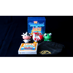 The Magical Arch - Magic Dream wwww.magiedirecte.com