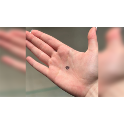 Cherries Stamp - Double Cross By Magic Smith X Magic Dream wwww.magiedirecte.com