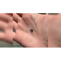 Cherries Stamp - Double Cross By Magic Smith X Magic Dream wwww.magiedirecte.com