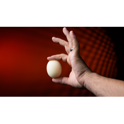 Sponge Egg 4pk wwww.magiedirecte.com