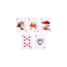 Coastal Playing Cards wwww.magiedirecte.com