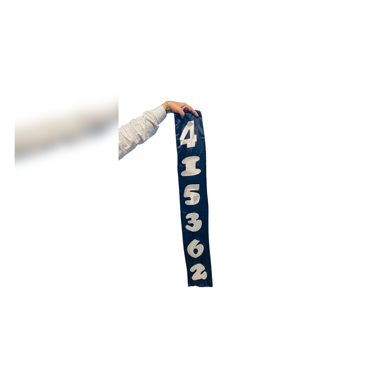 Jumbled Numbers by The Essel Magic wwww.magiedirecte.com