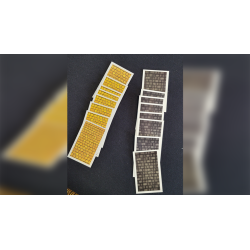 Out of This Oz -Jonathan Sadowski wwww.magiedirecte.com