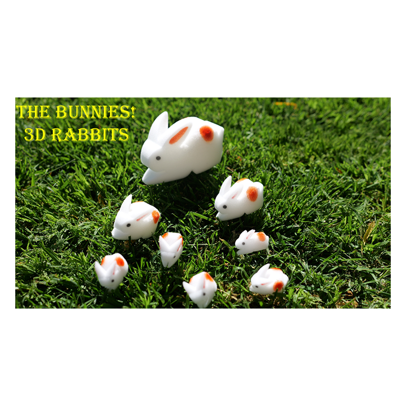 The Bunnies! 3D Rabbits (Parents, Kids & Grandpa) wwww.magiedirecte.com