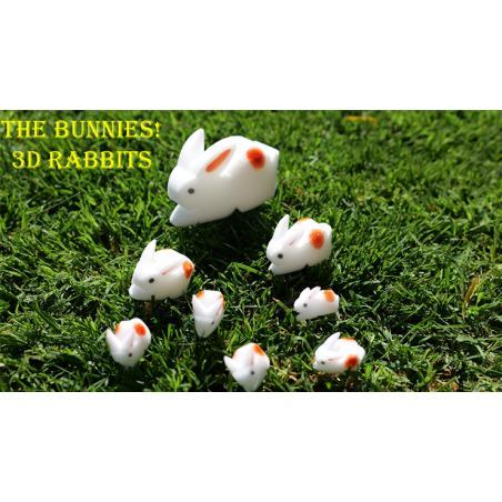 The Bunnies! 3D Rabbits (Parents, Kids & Grandpa) wwww.magiedirecte.com