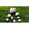 The Bunnies! 3D Rabbits (Parents, Kids & Grandpa) wwww.magiedirecte.com