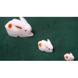 The Bunnies! 3D Rabbits (Parents, Kids & Grandpa) wwww.magiedirecte.com