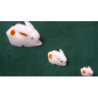 The Bunnies! 3D Rabbits (Parents, Kids & Grandpa) wwww.magiedirecte.com