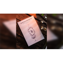 Subtle Secrets 1 - Thibault Ternon wwww.magiedirecte.com