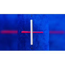 Steel Ball Through Pen by The Essel Magic wwww.magiedirecte.com