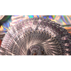 Crystal - Evokad wwww.magiedirecte.com