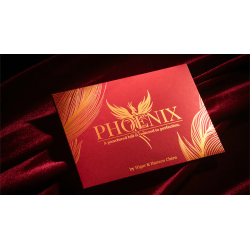 Phoenix by Higar and Hanson Chien (RMB China) wwww.magiedirecte.com