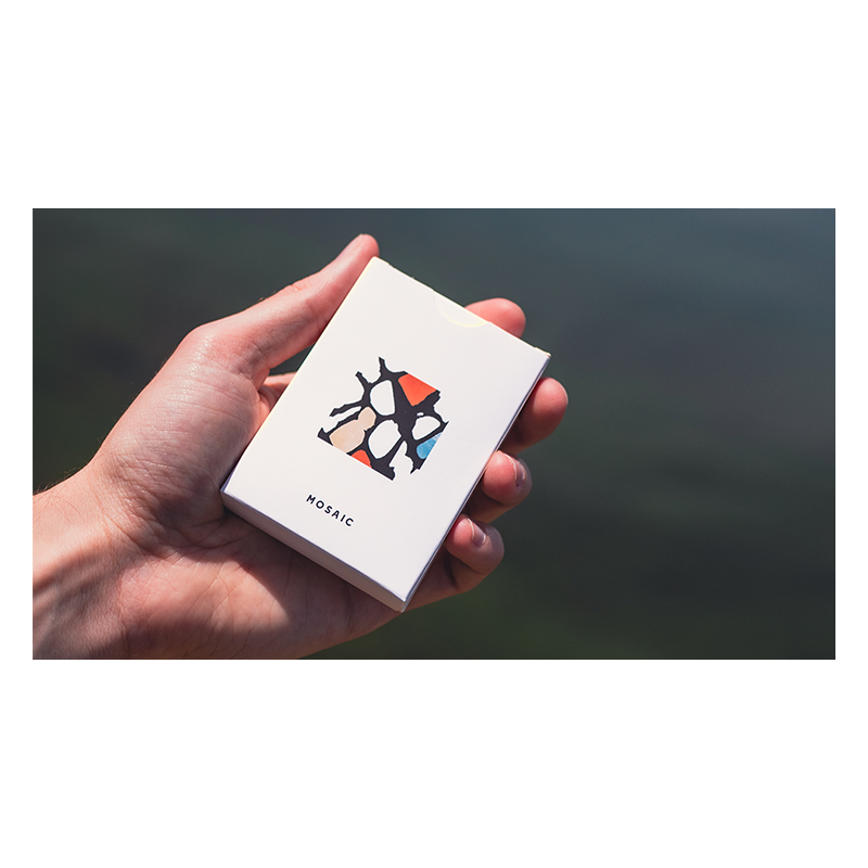 Mosaic wwww.magiedirecte.com