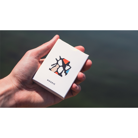 Mosaic wwww.magiedirecte.com