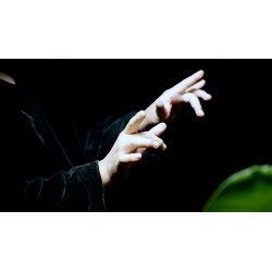 Double Production by Bojan Barisic and Stage Elegance wwww.magiedirecte.com