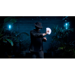 Double Production - Bojan Barisic and Stage Elegance wwww.magiedirecte.com