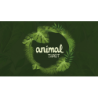 ANIMALTAROT wwww.magiedirecte.com