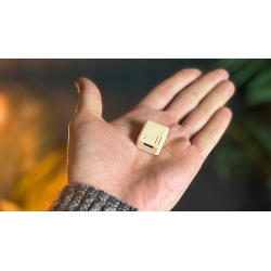 Trinity - Mark Lemon wwww.magiedirecte.com