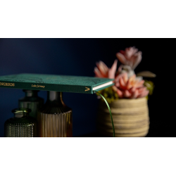 The Hummingbirds by Luke Jermay wwww.magiedirecte.com