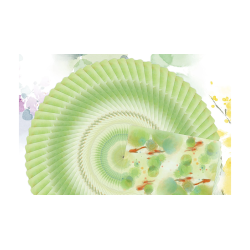 Bicycle Seasons (Summer Edition) wwww.magiedirecte.com