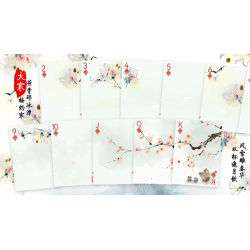 Bicycle Seasons (Winter Edition) Playing Cards wwww.magiedirecte.com