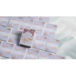 Bicycle Seasons (Winter Edition) wwww.magiedirecte.com