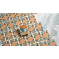 Bicycle Seasons (Autumn Edition) wwww.magiedirecte.com