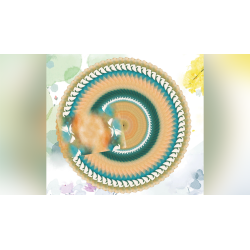 Bicycle Seasons (Autumn Edition) wwww.magiedirecte.com