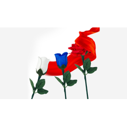 Reborn Rose by JL Magic wwww.magiedirecte.com