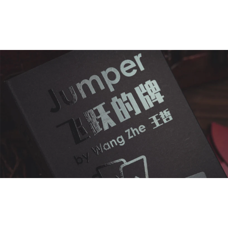 Jumper by WangZhe & Bacon Magic (Red) wwww.magiedirecte.com