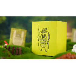 Childhood Playing Cards (Half Brick Standard  + Gilded ) by TCC & Lunzi wwww.magiedirecte.com