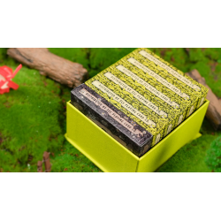 Childhood Playing Cards (Half Brick Standard  + Gilded ) by TCC & Lunzi wwww.magiedirecte.com