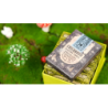 Childhood Playing Cards (Half Brick Standard  + Gilded ) by TCC & Lunzi wwww.magiedirecte.com