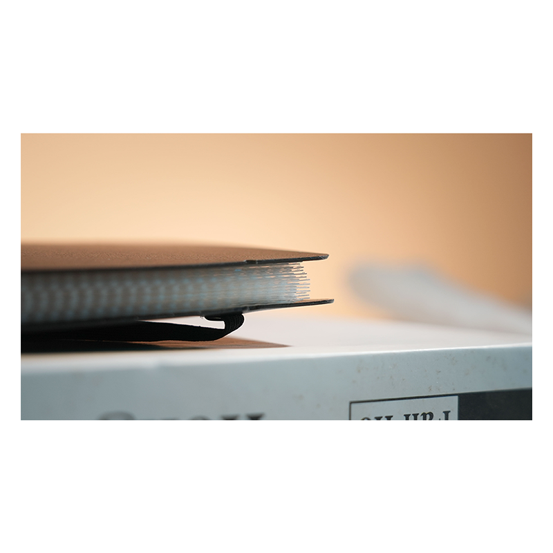 Svengali Album by Winston & TCC Magic (Postcard Size) wwww.magiedirecte.com