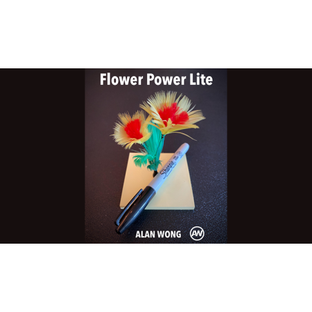 FLOWER POWER LITE by Alan Wong wwww.magiedirecte.com