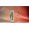 Perfect Champagne Glass by Henry Harrius wwww.magiedirecte.com