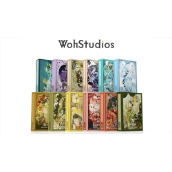 Libra - WohStudio wwww.magiedirecte.com