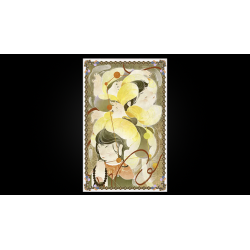 Gemini - WohStudio wwww.magiedirecte.com