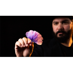 SPRING FLOWERS (2 PK PAPER) by Murphy's Magic wwww.magiedirecte.com