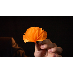 SPRING FLOWERS (2 PK PAPER) by Murphy's Magic wwww.magiedirecte.com