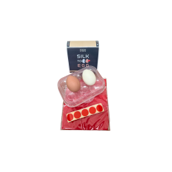 Silk to Egg by Michael Ammar and Bazar de Magia wwww.magiedirecte.com