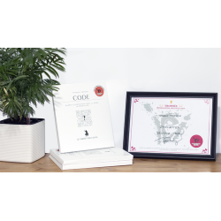 CODE by Thibault Ternon wwww.magiedirecte.com