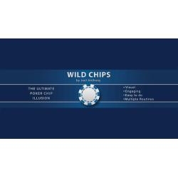 Wild Chips by Joel Anthony wwww.magiedirecte.com