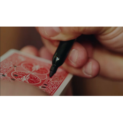 Starpoint (2/Diamonds) by Mickael Chatelain wwww.magiedirecte.com