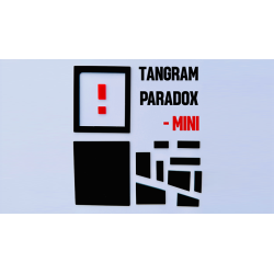 Tangram Paradox Mini wwww.magiedirecte.com