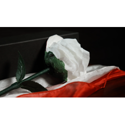 Fantasy Rose by Leon, Bond Lee & MS Magic wwww.magiedirecte.com