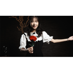 Fantasy Rose by Leon, Bond Lee & MS Magic wwww.magiedirecte.com